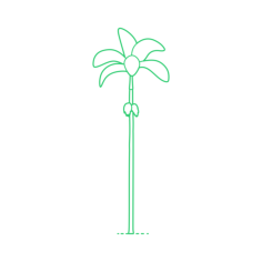 Plants Palms Alexandra Palm Outline Svg Vector, Free Vectors File